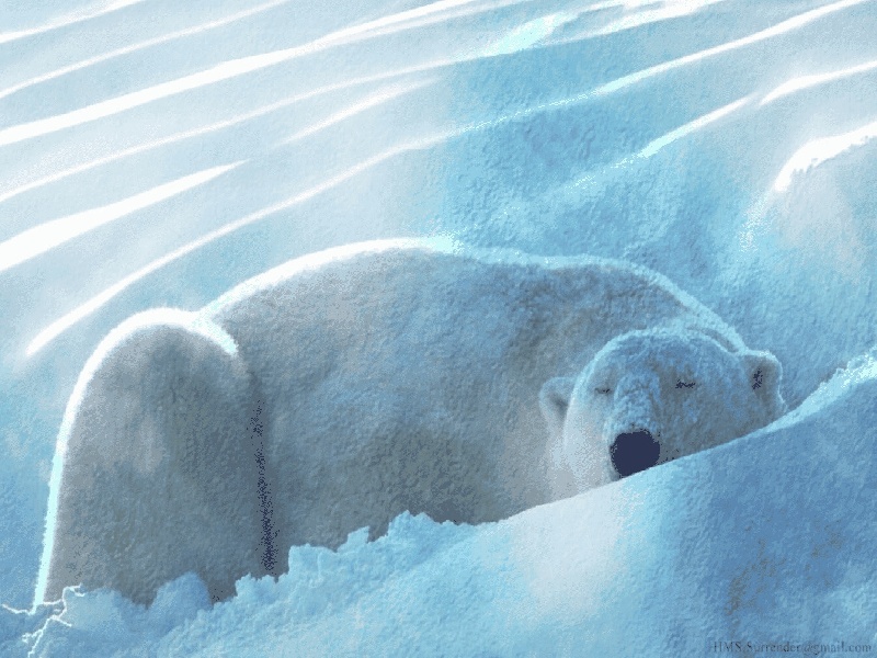 广州哪可以代怀,广州试管移植的费用（试管之路真人视频）